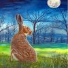 Hare Moon Art Diamond Painting