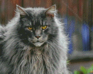 Long Hair Grey Cat Animal Diamond Painting