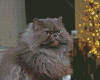Long Hair Grey Cat Diamond Painting