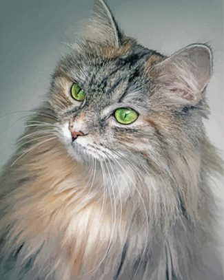 Long Hair Grey Cat Diamond Painting