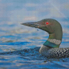 Loon On Lake Water Diamond Painting