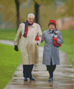 Old Couple Walking Home In Rain Diamond Painting