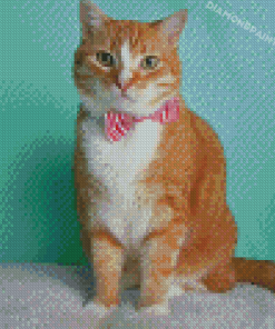 Orange And White Tabby Cat Diamond Painting