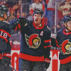 Ottawa Senators Ice Hockey Team Diamond Painting