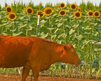 Sunflower Field Cow Diamond Painting