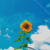 Sunflower With Blue Sky Diamond Painting