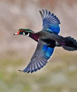Wood Duck Flying Bird Diamond Painting