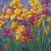 Yellow Purple Bearded Iris Diamond Painting
