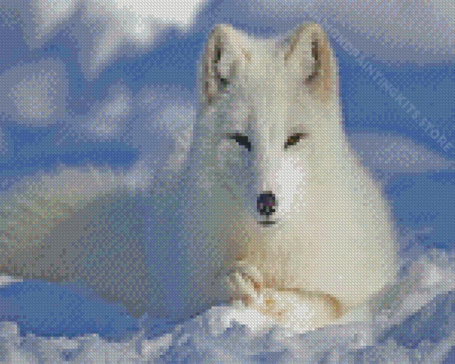 Aesthetic Polar Fox Diamond Painting