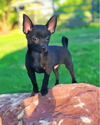 Baby Black Chihuahua Diamond Painting