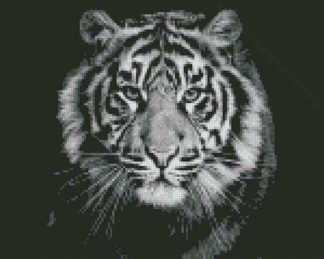 Cool Black And White Tiger Diamond Painting