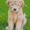 Cute Whoodle Puppy Diamond Painting