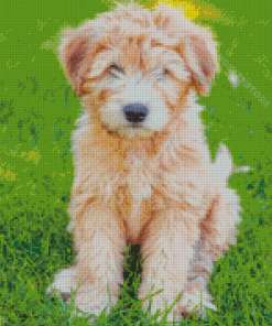 Cute Whoodle Puppy Diamond Painting