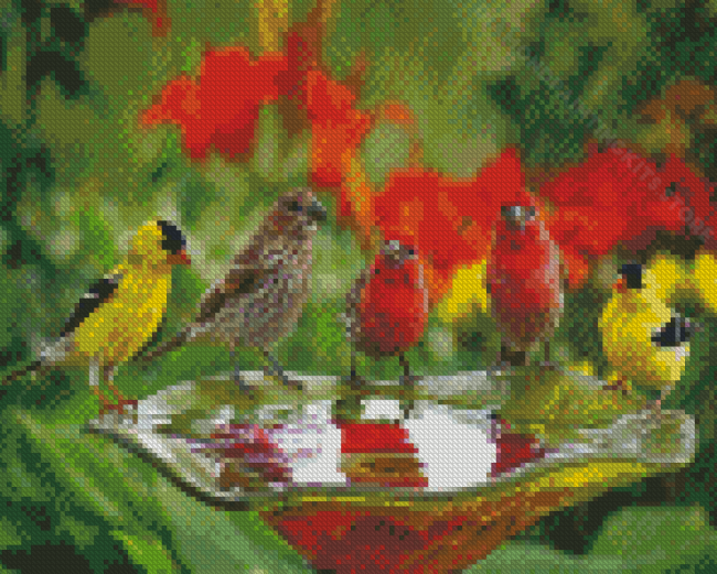 Drink And Colorful Birds Diamond Painting