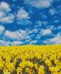 Field Of Daffodils With Cloudy Sky Diamond Painting