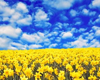 Field Of Daffodils With Cloudy Sky Diamond Painting