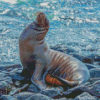 Galapagos Sea Lion On Rocks Diamond Painting