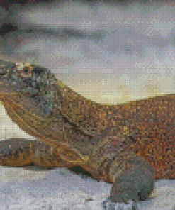 Komodo Dragon Animal Diamond Painting