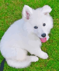 Miniature American Eskimo White Fluffy Dog Diamond Painting
