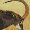 Sable Antelope Head Diamond Painting