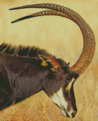 Sable Antelope Head Diamond Painting