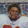 Sean Taylor Redskins Player Diamond Painting