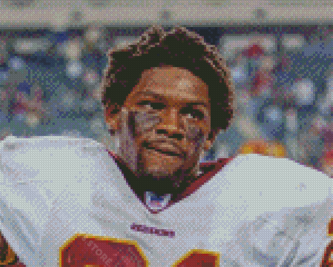 Sean Taylor Redskins Player Diamond Painting