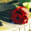 Vintage Red Rose With Piano Keys Diamond Painting