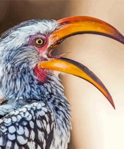 Yellow Billed Hornbill African Bird Diamond Painting