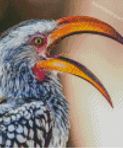 Yellow Billed Hornbill African Bird Diamond Painting
