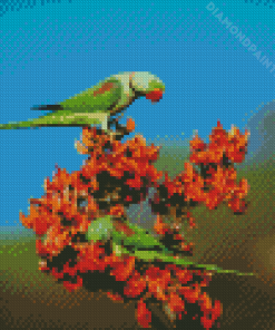 Alexandrine Parakeet Birds Diamond Painting