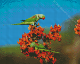 Alexandrine Parakeet Birds Diamond Painting