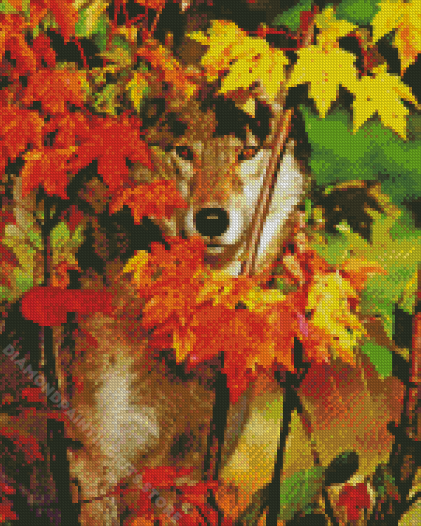 Autumn Wolf Diamond Painting