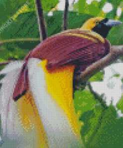 Bali Bird Of Paradise Diamond Painting