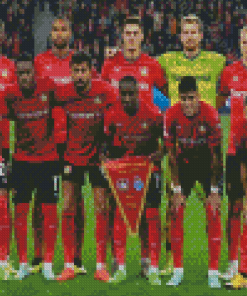 Bayer Leverkusen Fc Team Diamond Painting