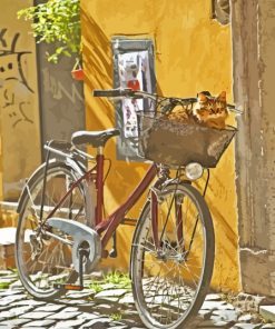 Cat On Bike Basket Diamond Painting