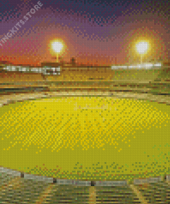 Cricket Stadium At Night Diamond Painting