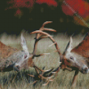 Deers Fighting Diamond Painting