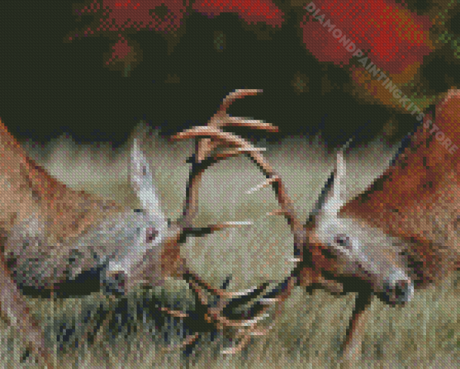 Deers Fighting Diamond Painting