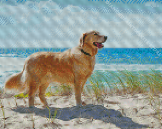 Dog In The Beach Diamond Painting