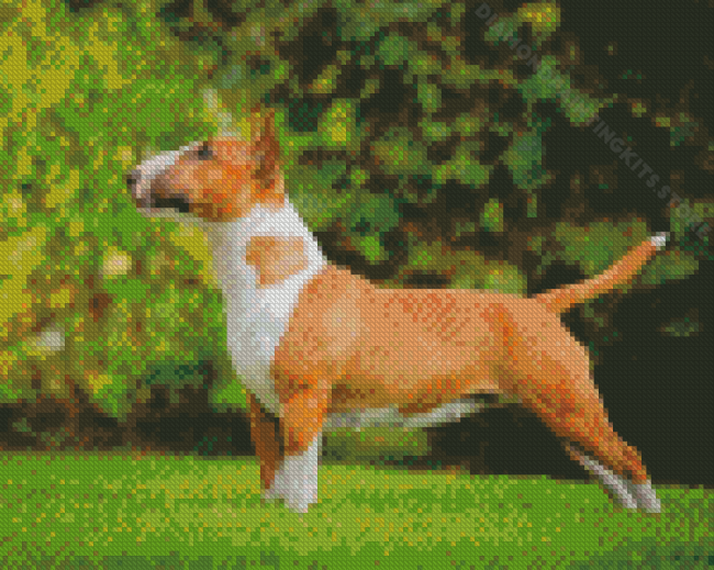 English Bull Terrier Diamond Painting