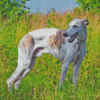 Greyhound Diamond Painting