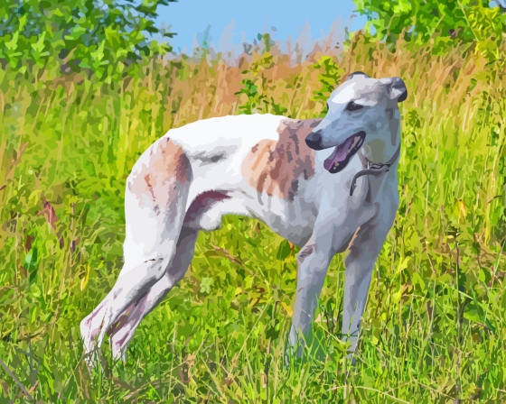 Greyhound Diamond Painting