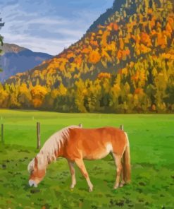 Haflinger Horse On Meadow In Alps Diamond Painting