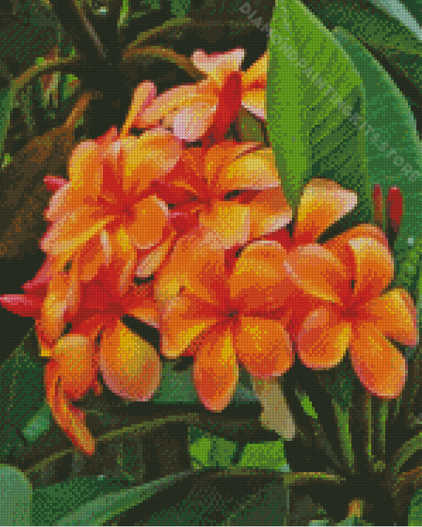 Hawaiian Orange Plumeria Plants Diamond Painting