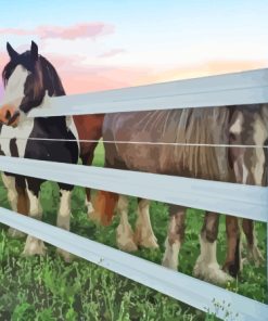 Horses Fence At Sunset Diamond Painting