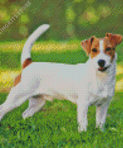 Jack Russell Puppy Diamond Painting