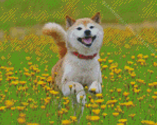 Shiba Playing In Flower Field Diamond Painting