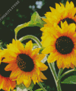 Small Sunflowers Diamond Painting