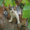 Tree Kitten Diamond Painting